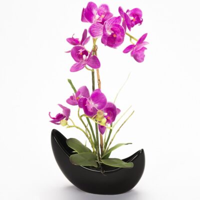 Orquídea Fucsia Grande