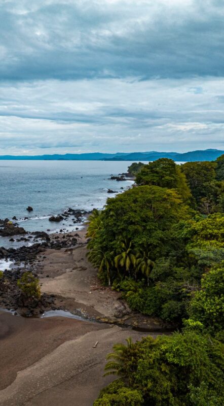 Enmascarar grupo 4217